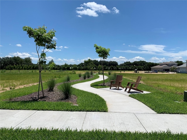 view of home's community with a yard