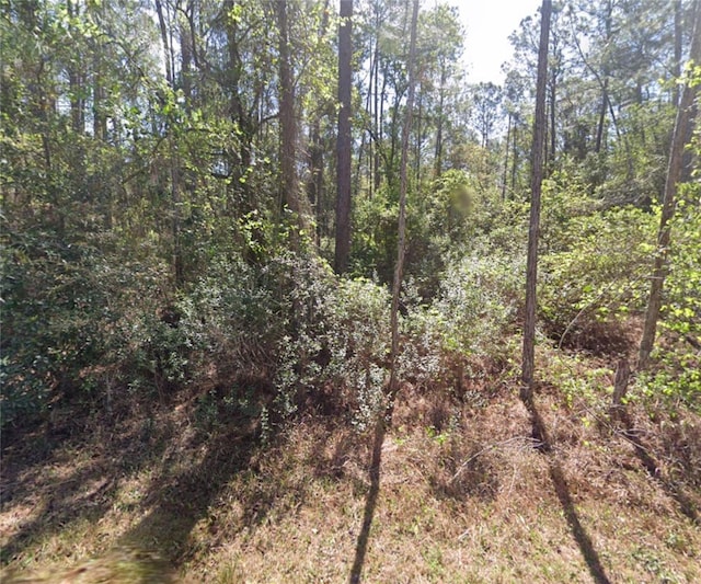 217 SE 2nd St, Georgetown FL, 32139 land for sale