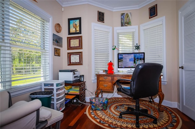 home office featuring hardwood / wood-style flooring and ornamental molding