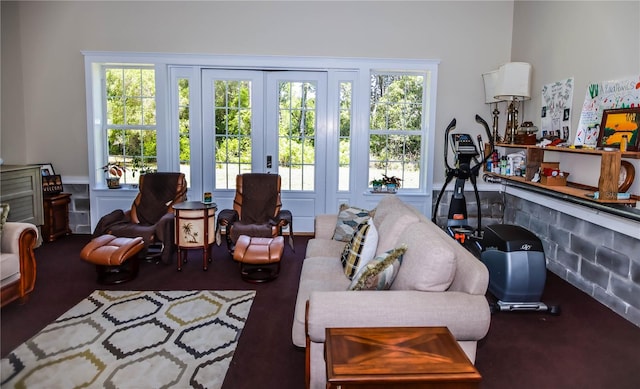 living room featuring french doors and a wealth of natural light