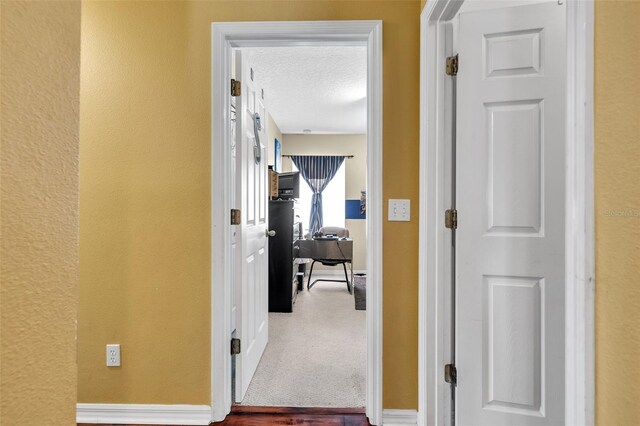 hallway featuring a textured ceiling and carpet flooring