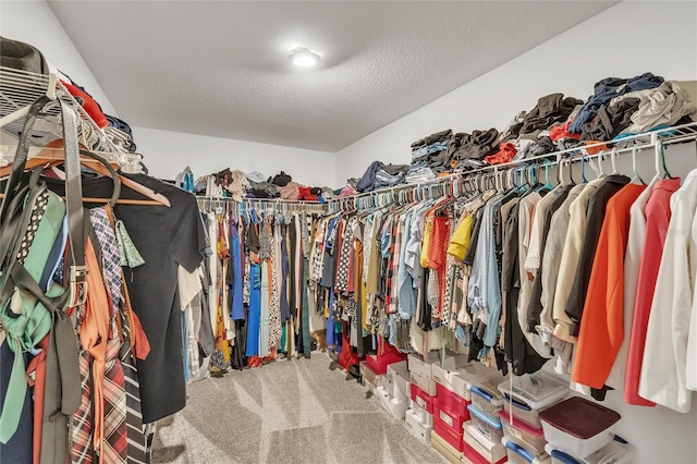 walk in closet with light colored carpet