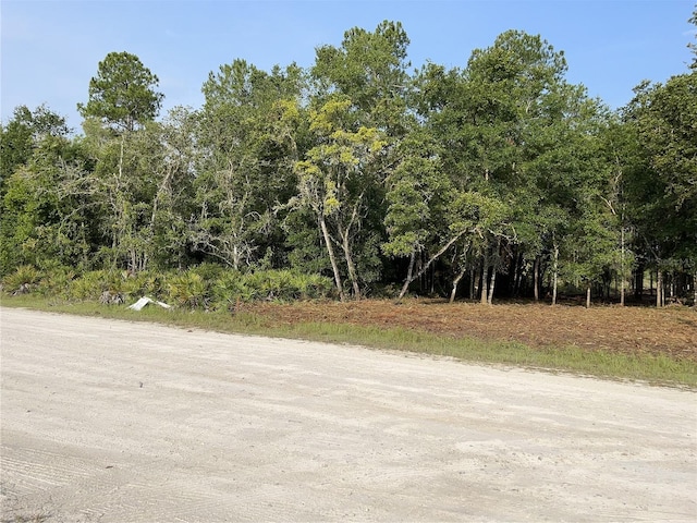 7123 Glenchester Dr, Webster FL, 33597 land for sale