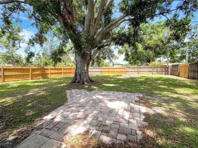4011 Mesa Ave, Sarasota, FL 34233 - view of yard with a patio