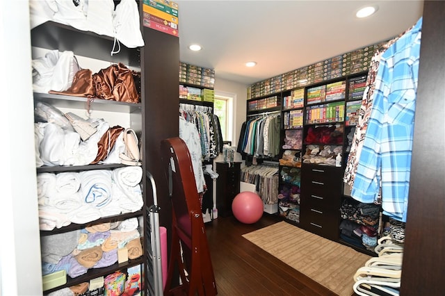 spacious closet featuring dark wood-type flooring