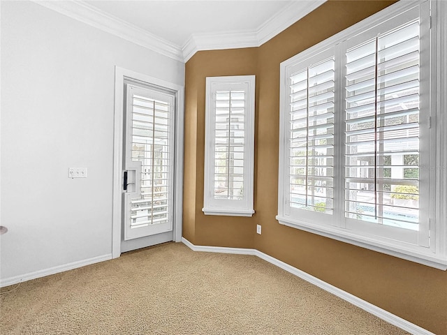 spare room with carpet floors and ornamental molding