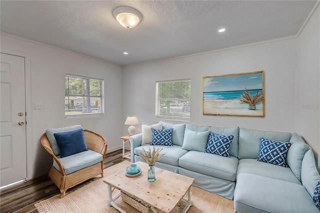 living room featuring hardwood / wood-style flooring and crown molding