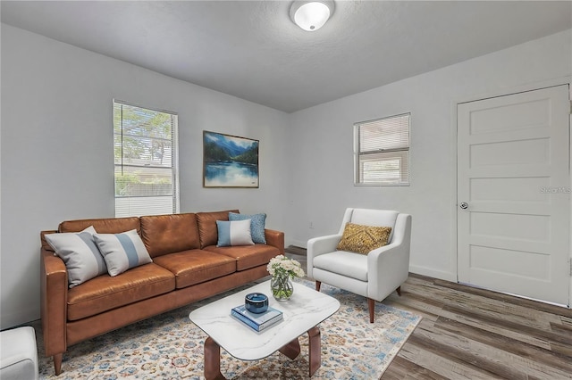 living room with hardwood / wood-style floors