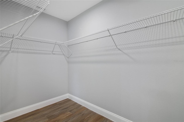 walk in closet featuring dark hardwood / wood-style floors