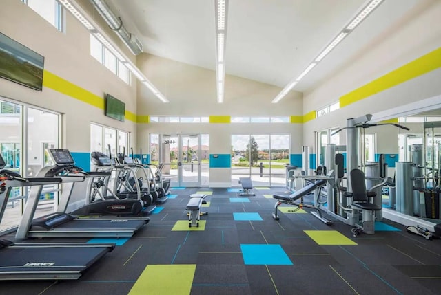 exercise room featuring high vaulted ceiling and french doors