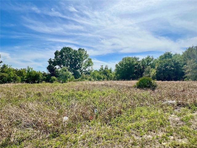 Ronald Reagan Pkwy, Davenport FL, 33896 land for sale