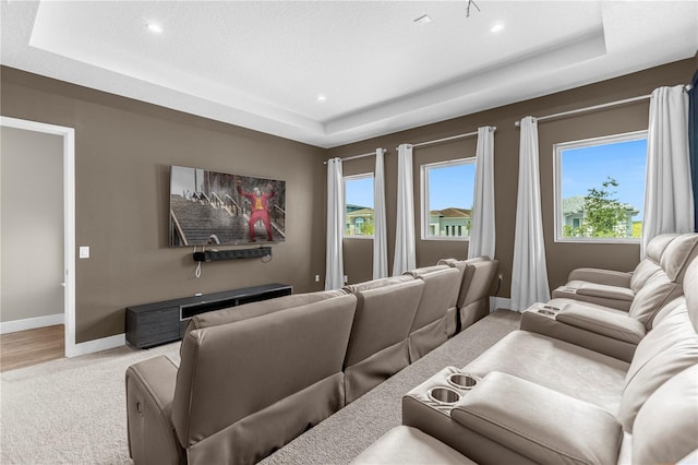 carpeted cinema room with a raised ceiling