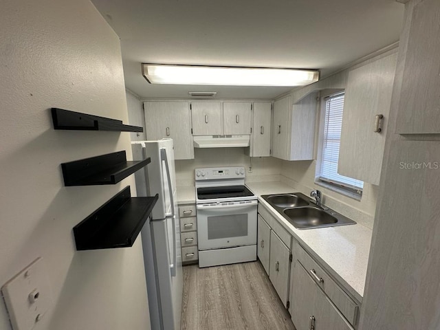 kitchen featuring sink, light hardwood / wood-style floors, and white appliances