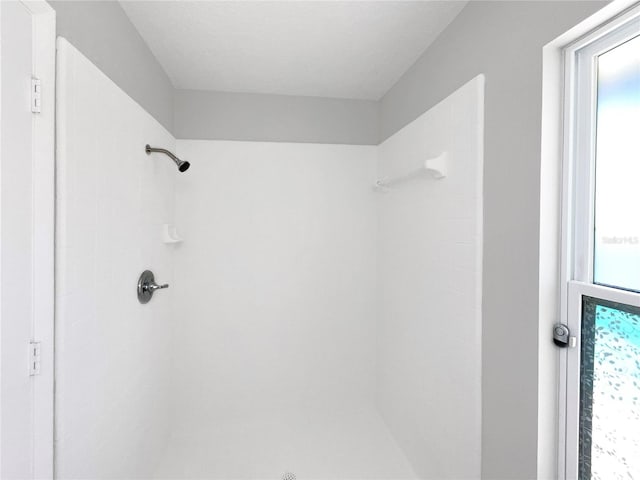 bathroom featuring walk in shower