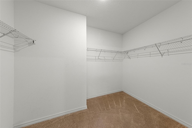 687 Campo Ln, Davenport, FL 33837 - walk in closet with carpet flooring