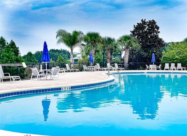 view of swimming pool featuring a patio area