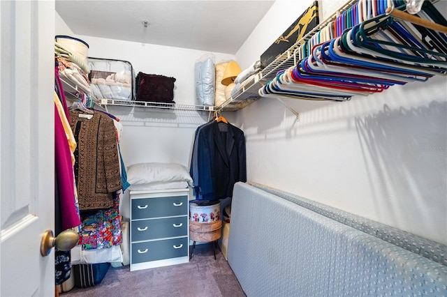 spacious closet featuring dark colored carpet