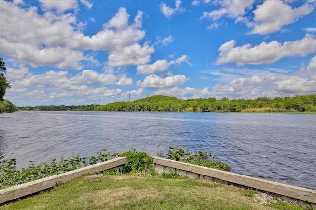 view of water view