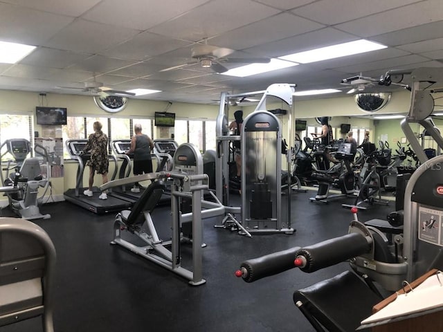 workout area featuring a drop ceiling and ceiling fan