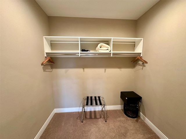 walk in closet with carpet floors