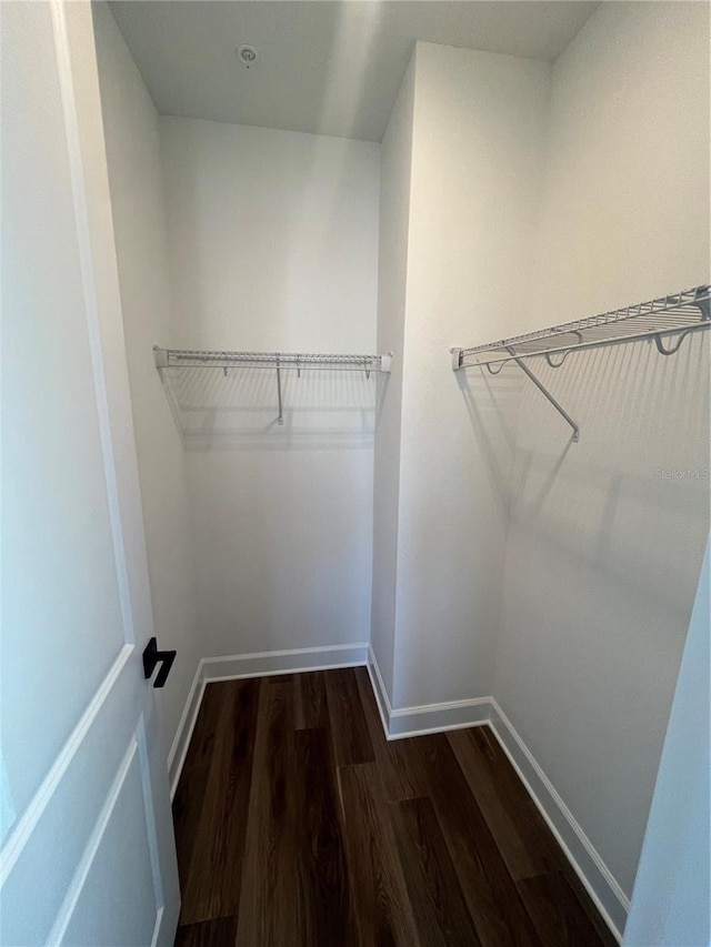 walk in closet featuring dark hardwood / wood-style flooring