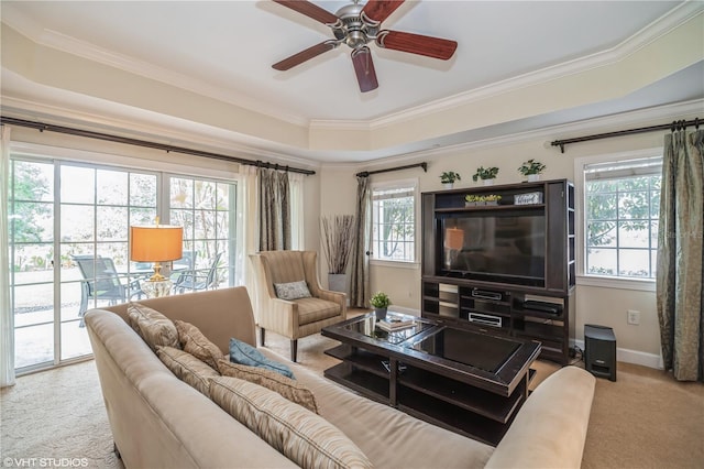 carpeted living room with ornamental molding, ceiling fan, and a raised ceiling