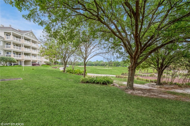 view of yard featuring a balcony