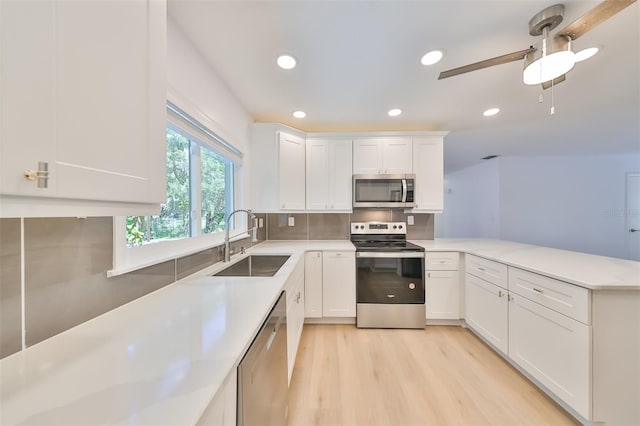 kitchen with light hardwood / wood-style flooring, stainless steel appliances, ceiling fan, white cabinets, and sink