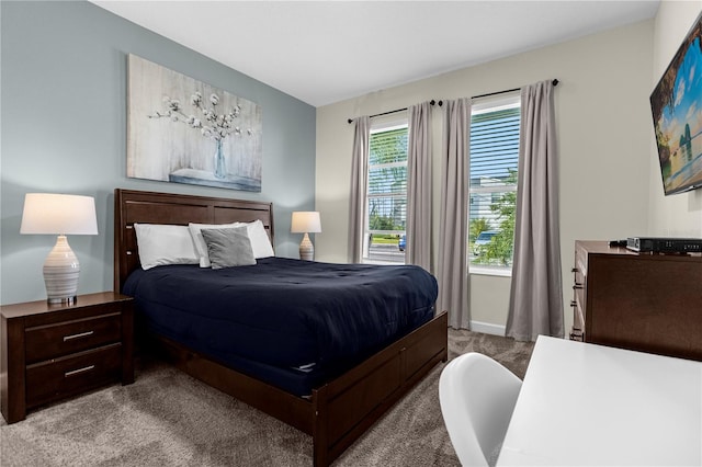 bedroom with carpet flooring