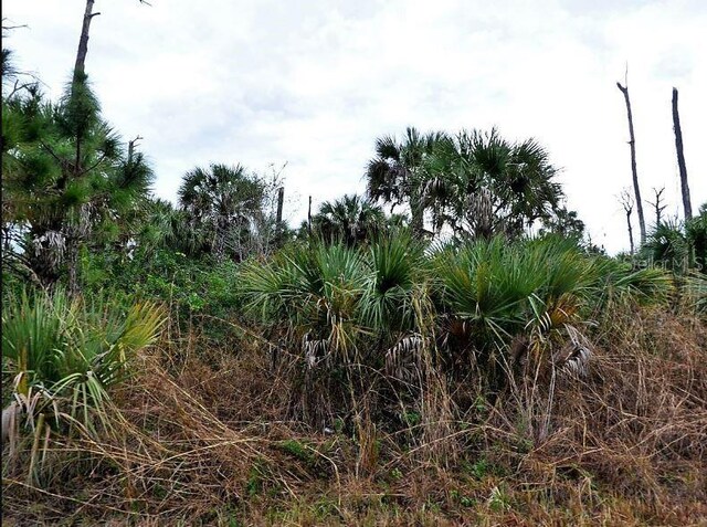 Pimento Cir, North Port, FL 34288 - photo 2