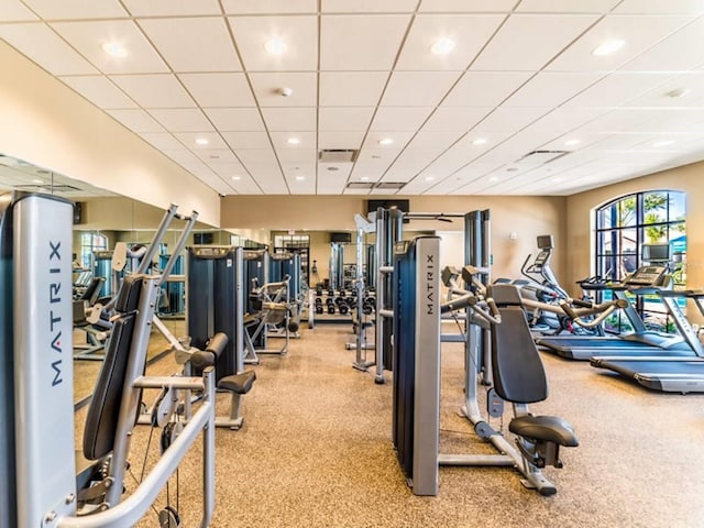 gym with light colored carpet and a drop ceiling