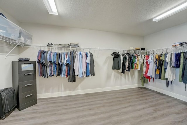 spacious closet featuring light hardwood / wood-style flooring