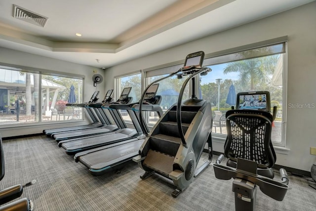 exercise room with carpet flooring and a raised ceiling