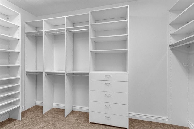 walk in closet featuring carpet flooring