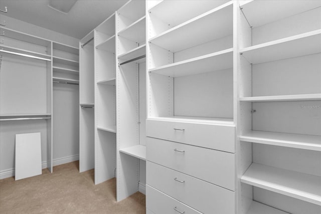 spacious closet with light carpet