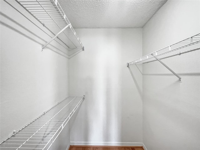 spacious closet featuring wood-type flooring