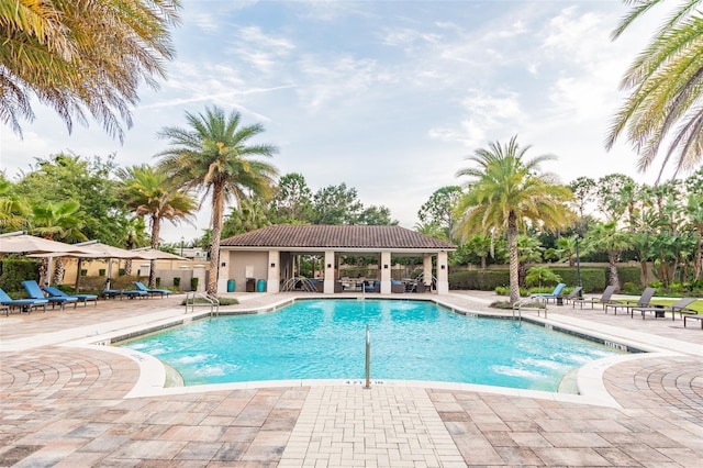 view of swimming pool with a patio