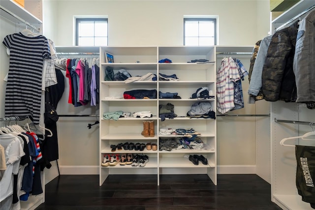 spacious closet with dark hardwood / wood-style flooring