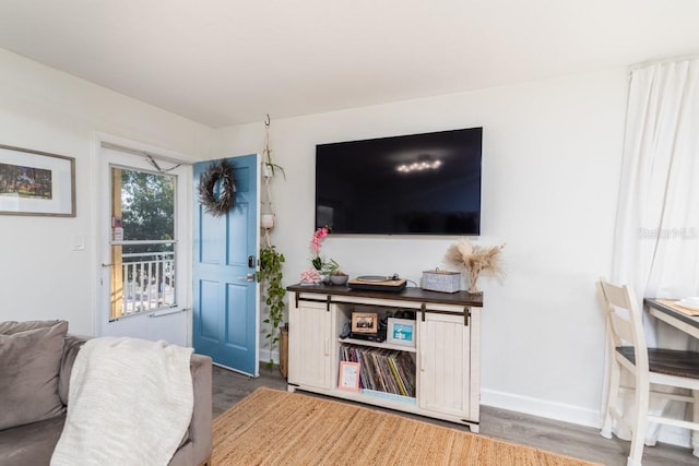 living room with hardwood / wood-style flooring