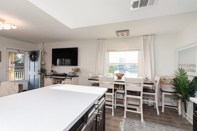 kitchen with a healthy amount of sunlight and dark hardwood / wood-style flooring