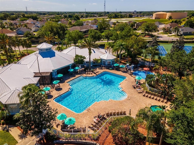 view of swimming pool featuring a patio area