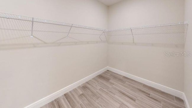 walk in closet featuring hardwood / wood-style floors