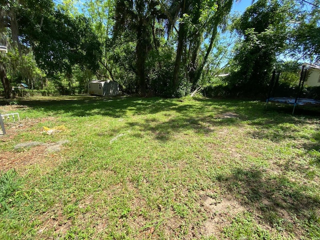 view of yard featuring a trampoline and a storage shed