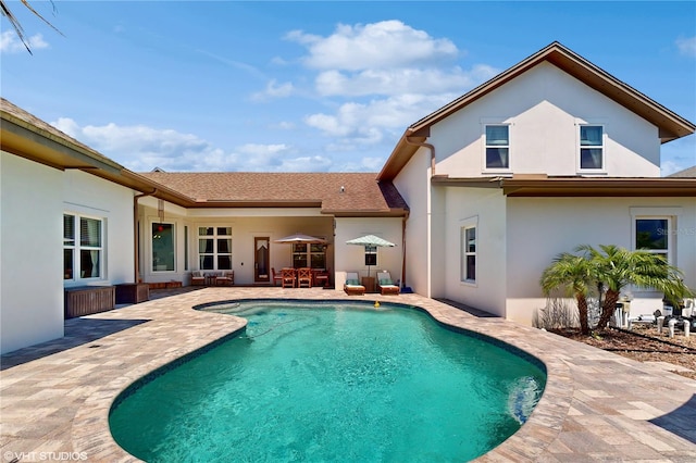 view of pool featuring a patio