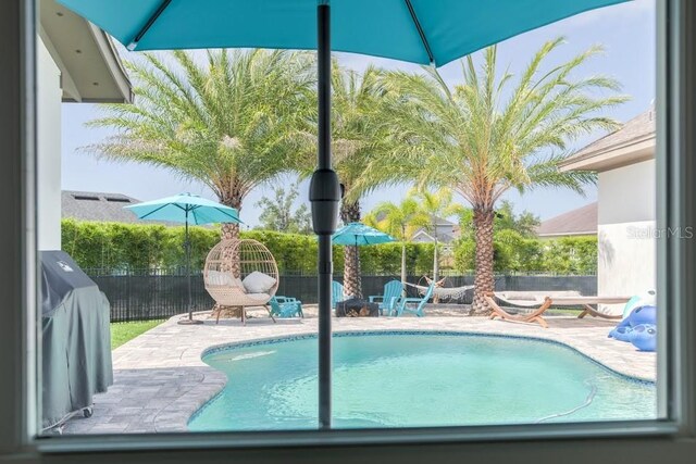 view of pool featuring a patio