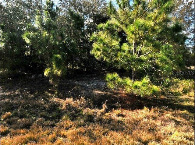 Hope Ct, North Port, FL 34288 - photo 2