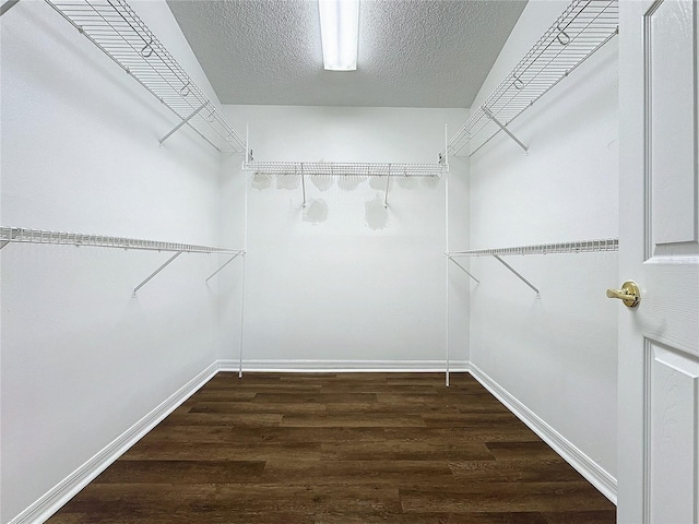 spacious closet featuring dark hardwood / wood-style floors