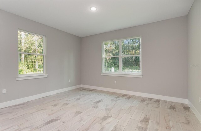 spare room featuring light wood-type flooring and a wealth of natural light