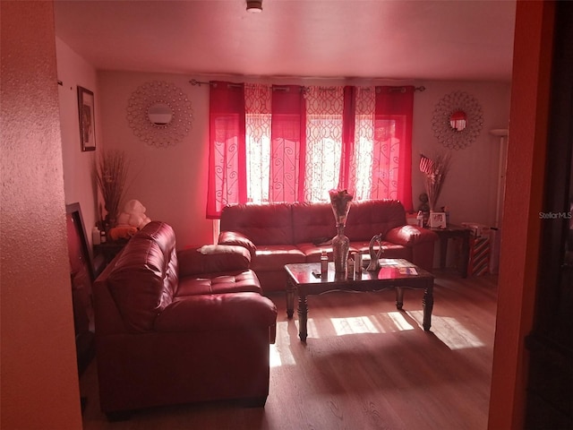 living room with hardwood / wood-style flooring