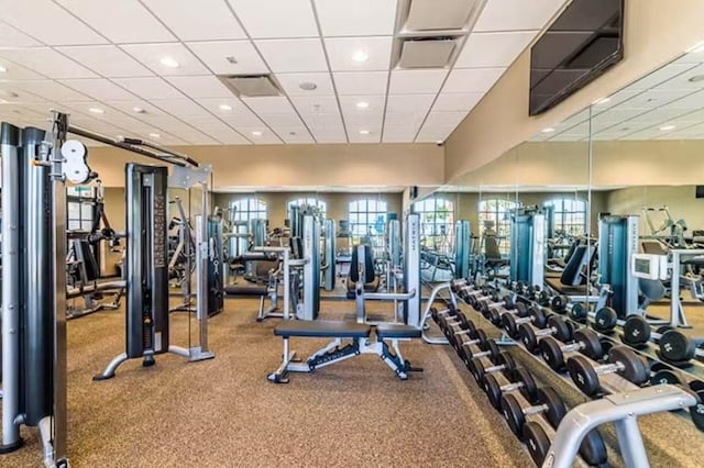 gym with carpet flooring and a drop ceiling